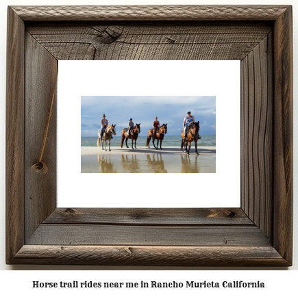 horse trail rides near me in Rancho Murieta, California